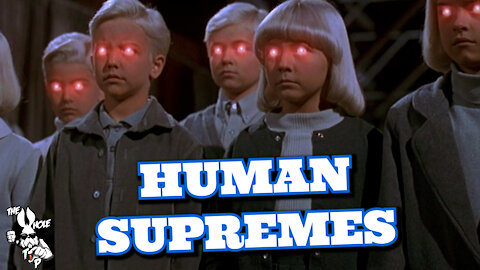 HUMAN SUPREMES - the Whole Tip Daily