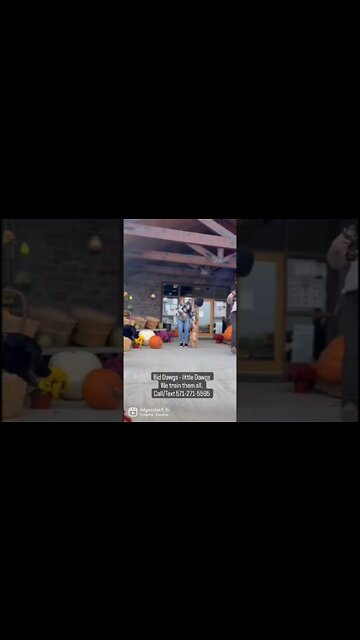 Need Dog Training? Call/Text 571-271-5595