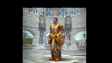 |World of Warcraft: Rookie Paladin|