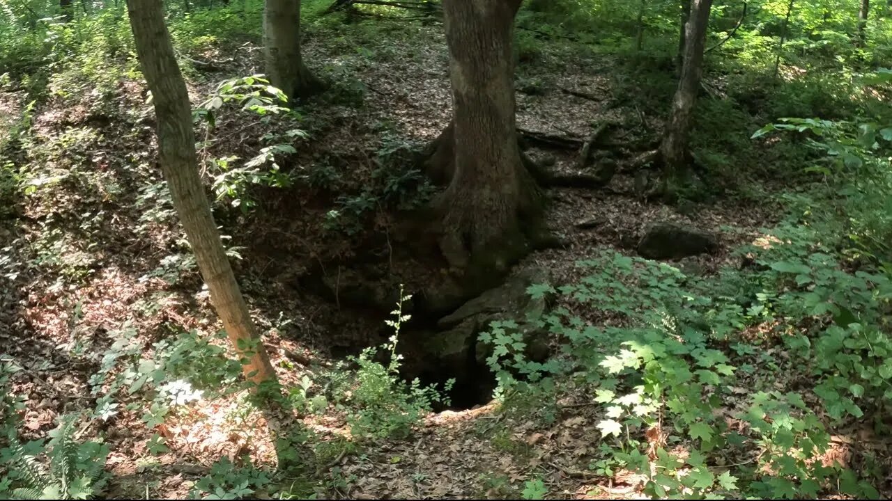 250 Foot Deep Sinkhole In The Woods