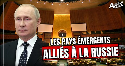 Les pays émergents soutiennent-ils vraiment la Russie [Didier DARCET]