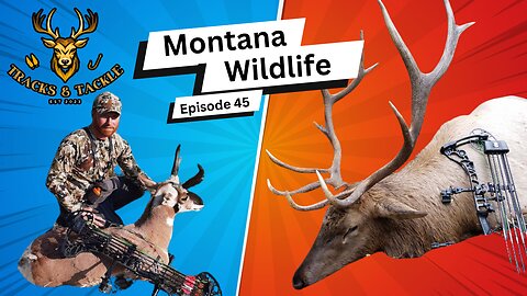 EP 45: Montana Wildlife and Hunting Tales with Brett Garretson