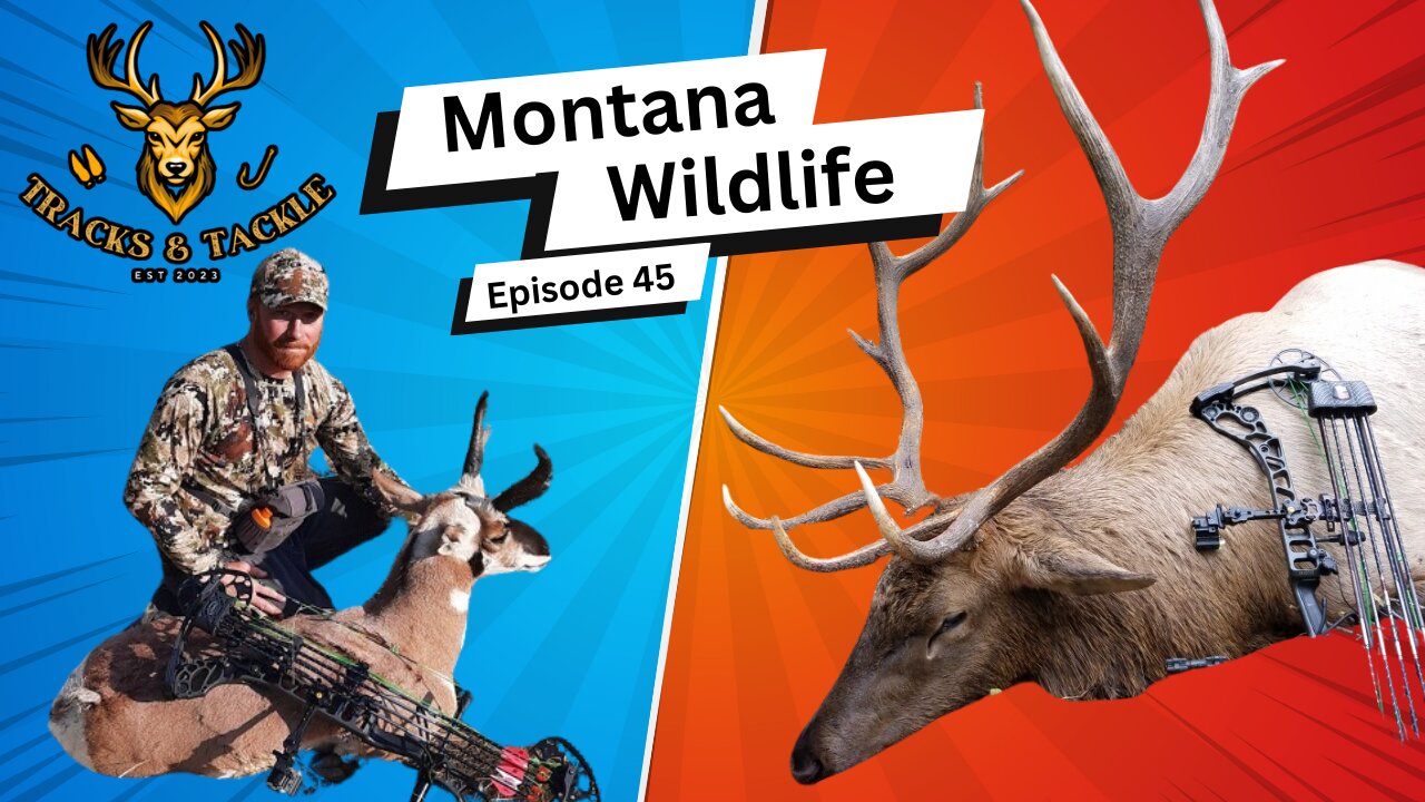 EP 45: Montana Wildlife and Hunting Tales with Brett Garretson