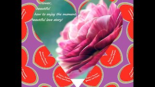 Life is not a flower, but it is very beautiful, love story! [Quotes and Poems]