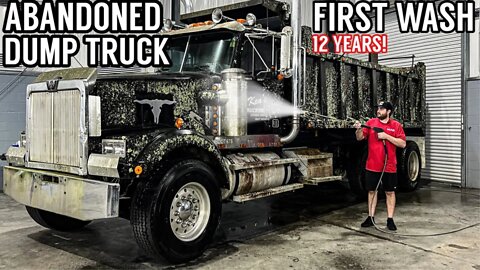 Disaster Barnyard Find | Extremely Moldy Truck | First Wash In 12 Years! | Car Detailing Restoration