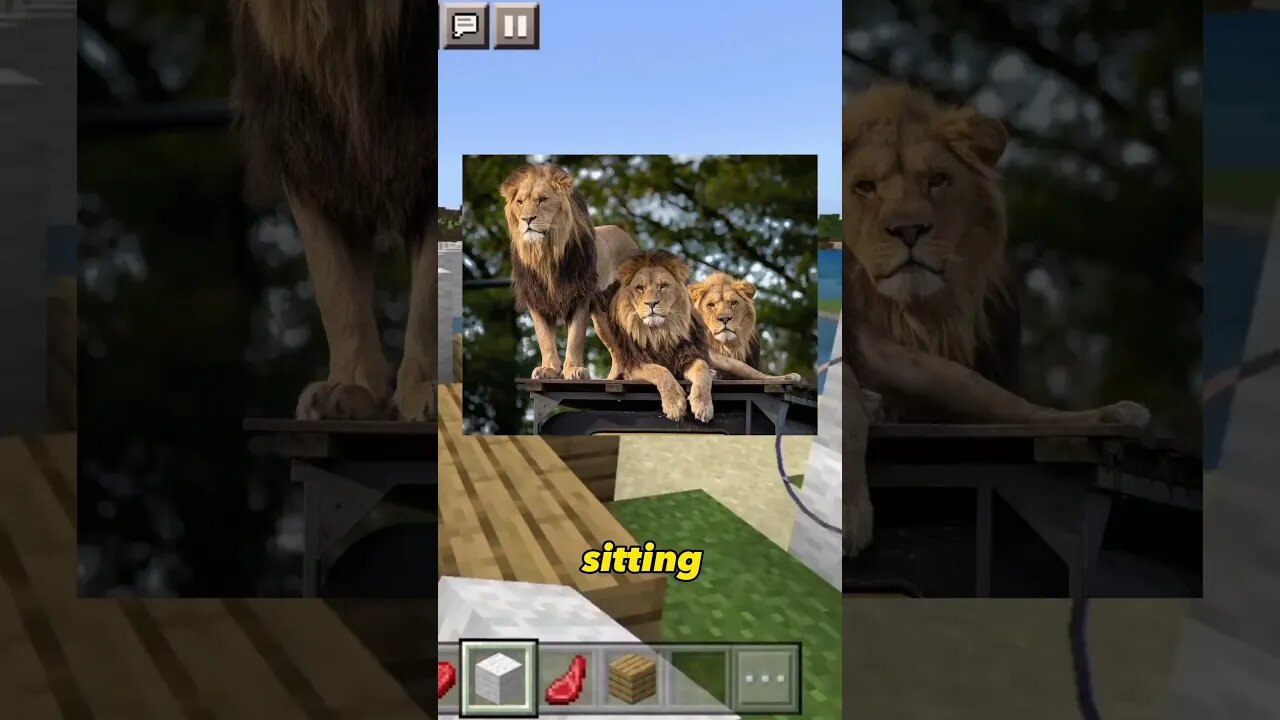 Lion Takes Your Parcel?