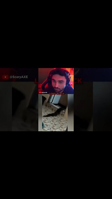 ( Mysterious Creature Caught on Camera ) - SCARY VIDEOS 👁