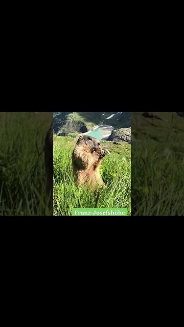 Top 6 Places to See in Austria