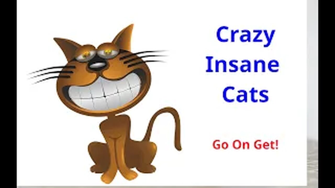 Funny Cracy Insane Cats Go On Get!