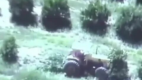 Por que o MST destruiu 5 mil pés de laranjas? (2009)