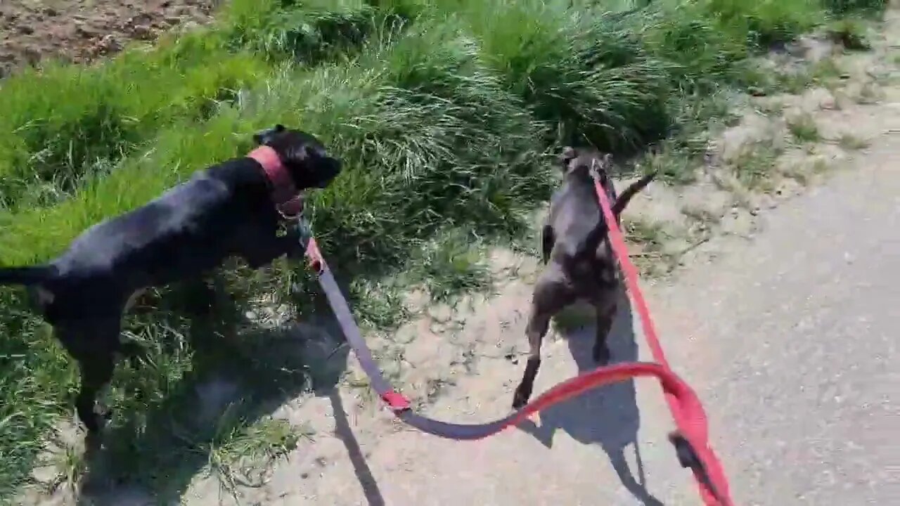 Circle of life: HARD MEN bring GOOD TIMES, GOOD TIMES breed SOFT MEN, SOFT MEN bring HARD TIMES.