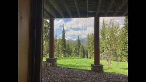 the montana view