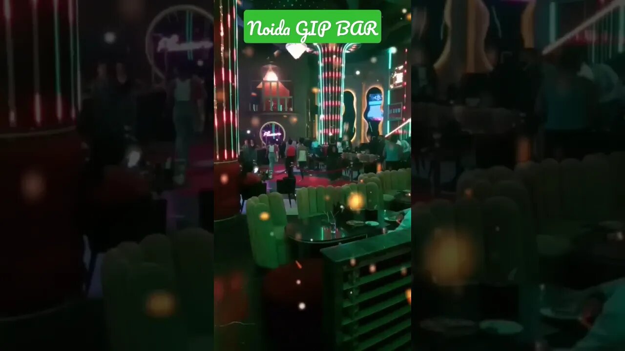 Bar Party #party #bear #bar #barish