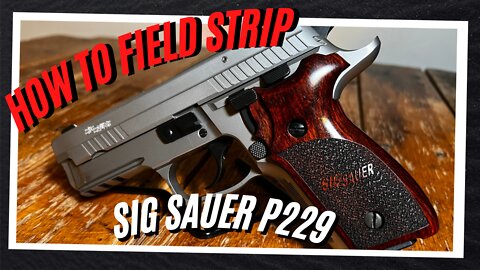 How to Disassemble and Reassemble a SIG Sauer P229 (Field Strip)