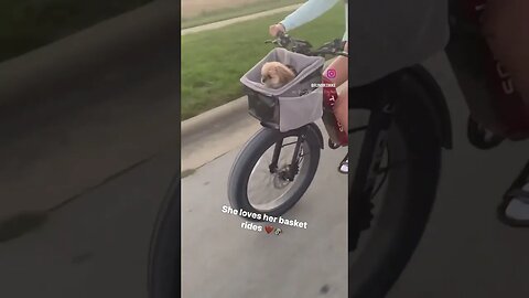 Ebike + Pup 🐶 ❤️ #pup #ebike ke