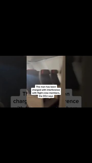 A #California man, who was captured on video punching an #AmericanAirlines flight