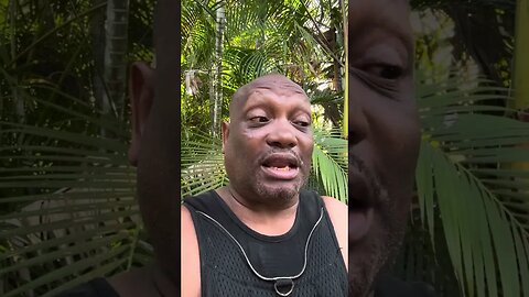 BAM Investor brings the receipts and reveals the fraud and corruption in AMC SEC take notice