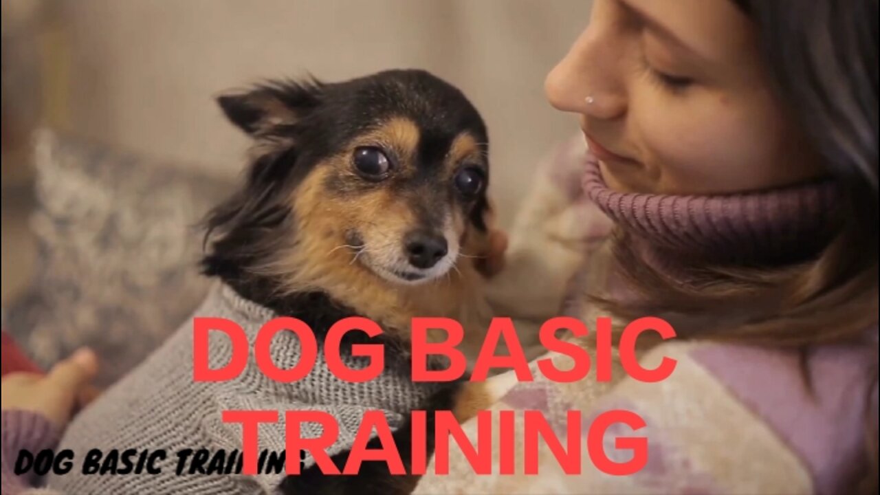 Dog basic training, Basic training Dog Video