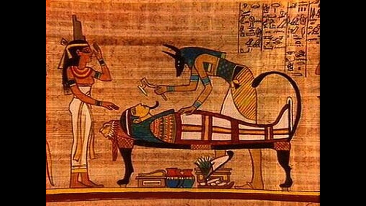 THE IMPORTANCE OF MUMMIFICATION(November, 2017)