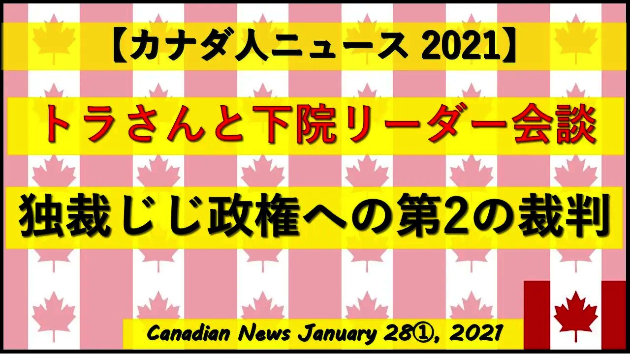 トラさんと下院リーダーが会談 独裁じじ政権への第2の裁判