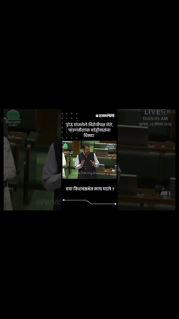 'होऊ घातलेले विरोधीपक्ष नेते', फडणवीसांचा वडेट्टीवारांना चिमटा | Fadnavis On Wadettiwar | #shorts