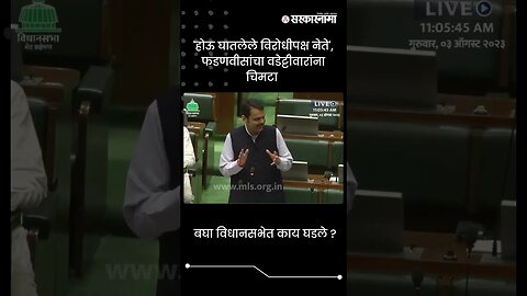 'होऊ घातलेले विरोधीपक्ष नेते', फडणवीसांचा वडेट्टीवारांना चिमटा | Fadnavis On Wadettiwar | #shorts