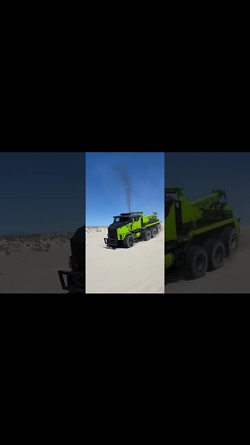 HET in the sand dunes. green turtle