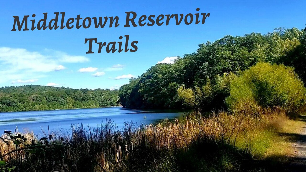 Middletown Reservoir Trails/Survey Diaries #5