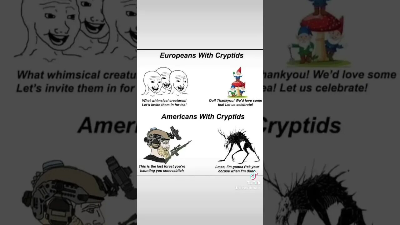 What could go wrong? :3 #ENVtuber #Vtuber #GERVtuber #anime #twitchDE #meme #memes #scp #cryptids