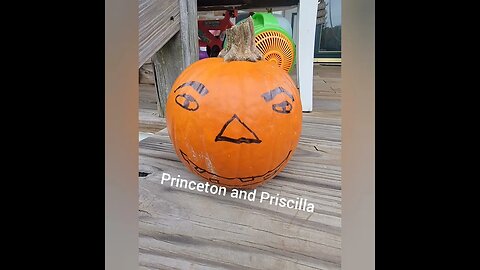 Princeton and Priscilla pumpkins