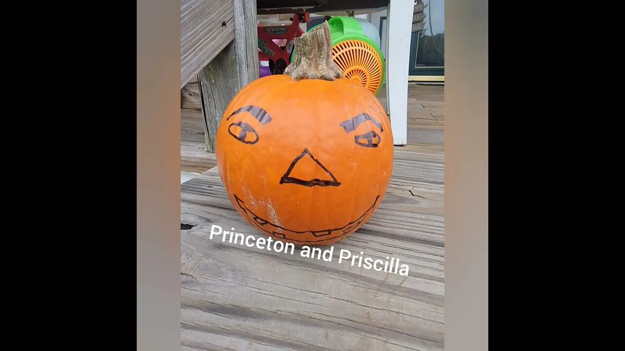 Princeton and Priscilla pumpkins