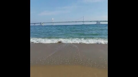 The Beach #shorts #shortsfeed #fyp #beach