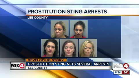 15 arrests made in Lee County prostitution sting