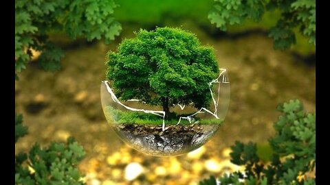 Beautiful Nature Video with Relaxing Music