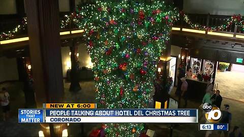 Hotel Del's tree sparks conversation