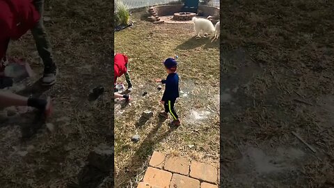 Digging in Ice with the Dogs