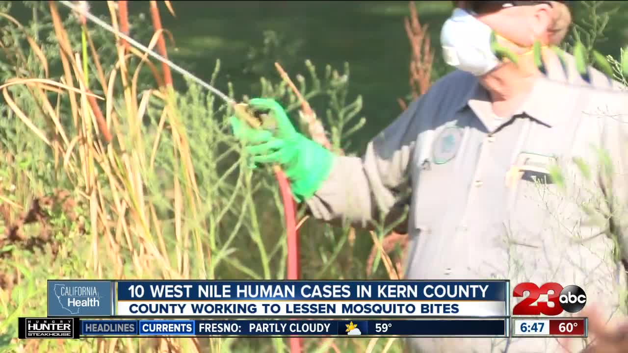 California Health: West Nile Virus a concern in Kern County after 11th case confirmed