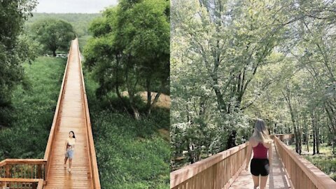 Cette passerelle de près de 1 km à 1 h 30 de Montréal te plonge totalement dans la nature