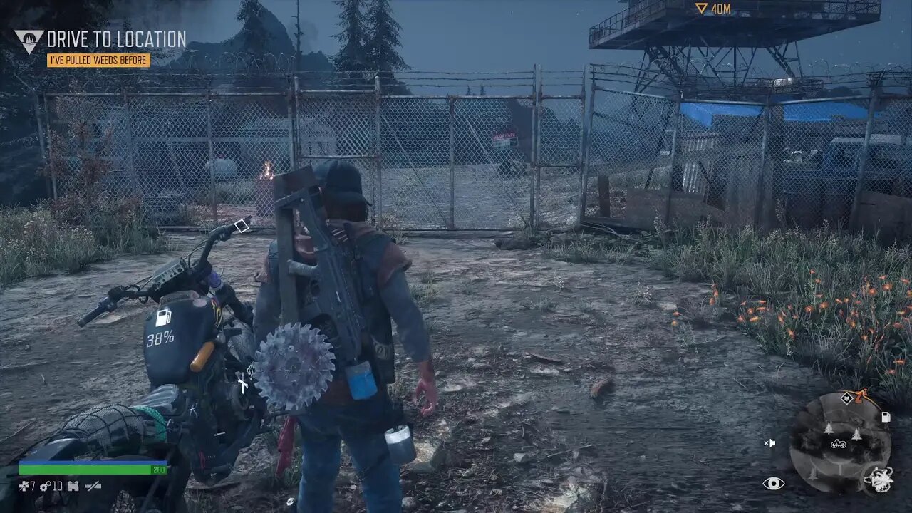 Days Gone