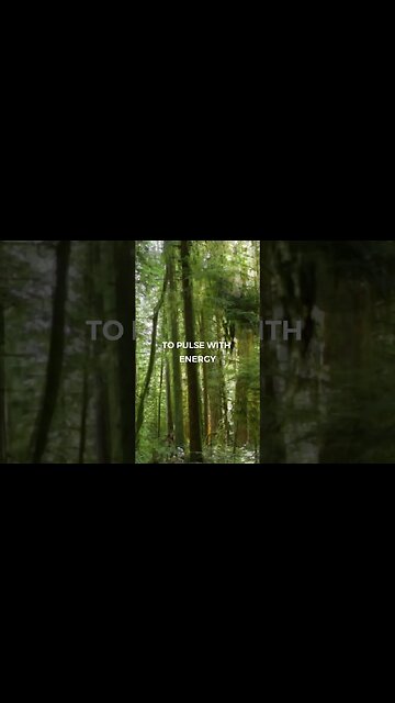 Listen to full meditations at Women's meditation network channel #meditation #sleep #shorts