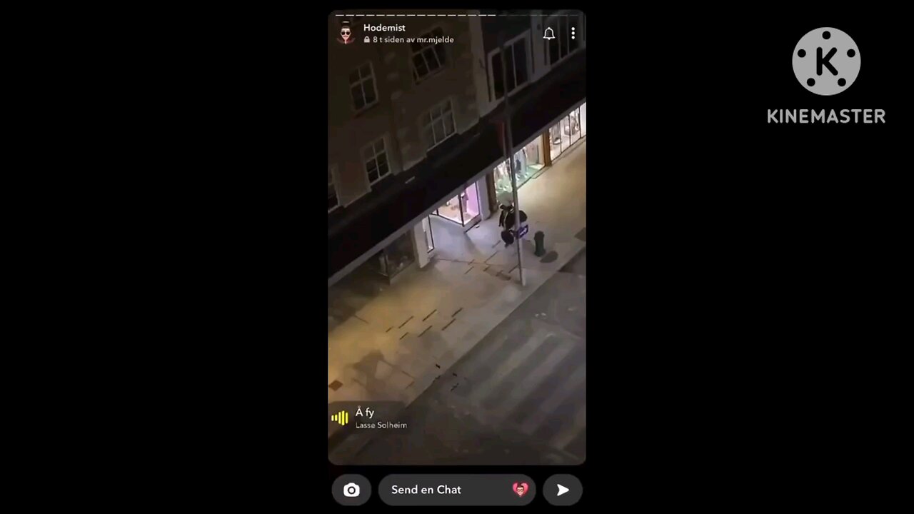 FAFO: Norwegian fight. No context.