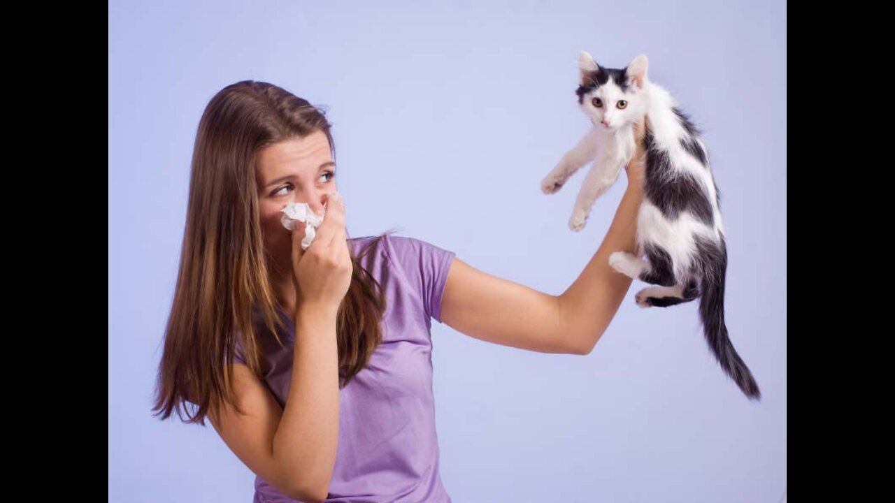 Cats 101 : Cat's Bad Breath Home Remedy