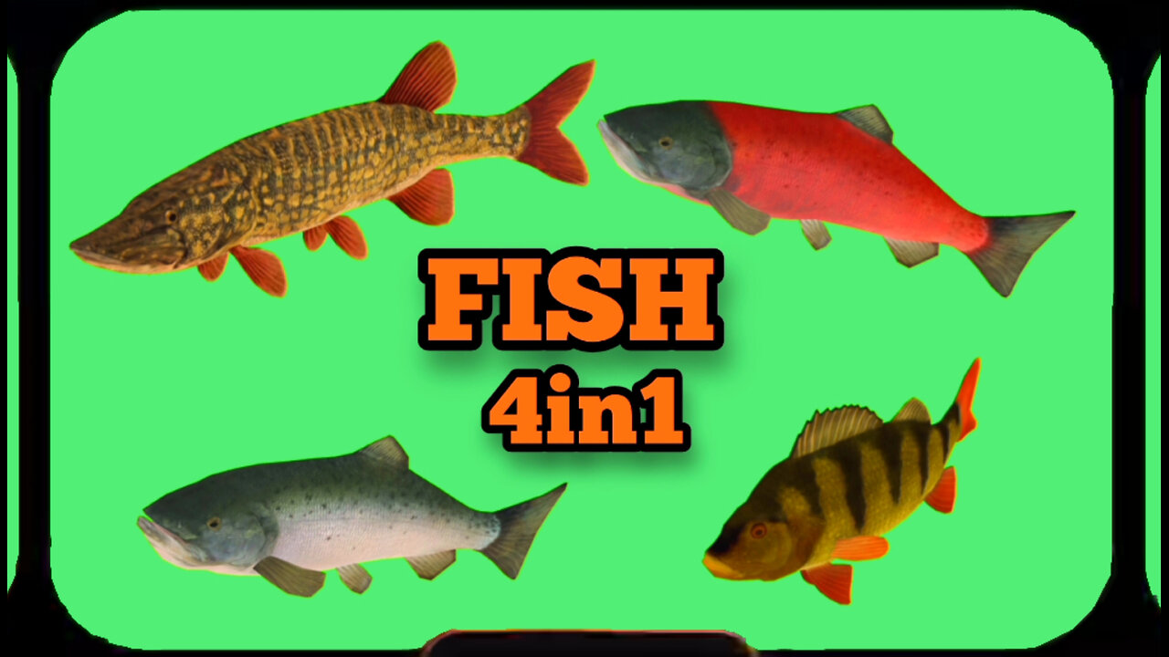 FISH animation Green Screen. Video chromakey on the GREEN SCREEN.