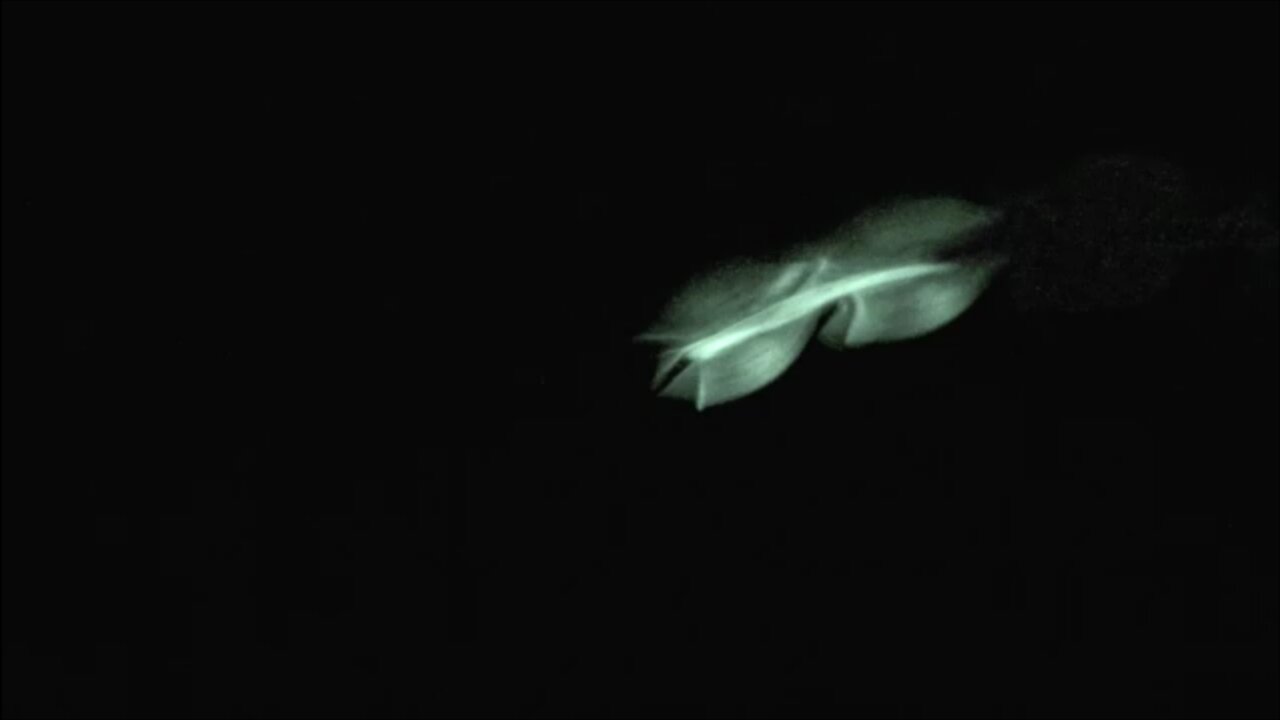 IDENTIFIED Barbell UFO ET Drones Over Adelaide 24 September 2022