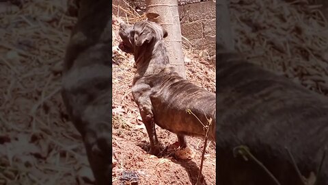 Oh My God What Is That?!? 😳😱🤯 #shorts