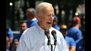 Joe Biden now has his own ‘Animal Crossing: New Horizons’ island