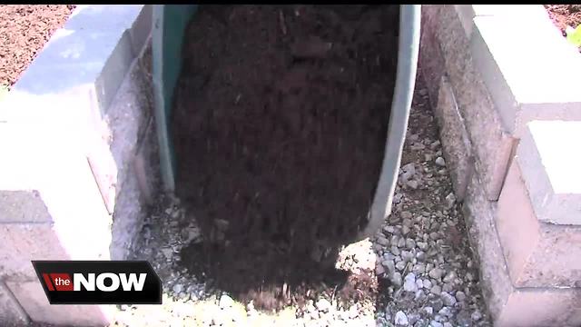 U-Indy and Community Health Network partner on a community garden