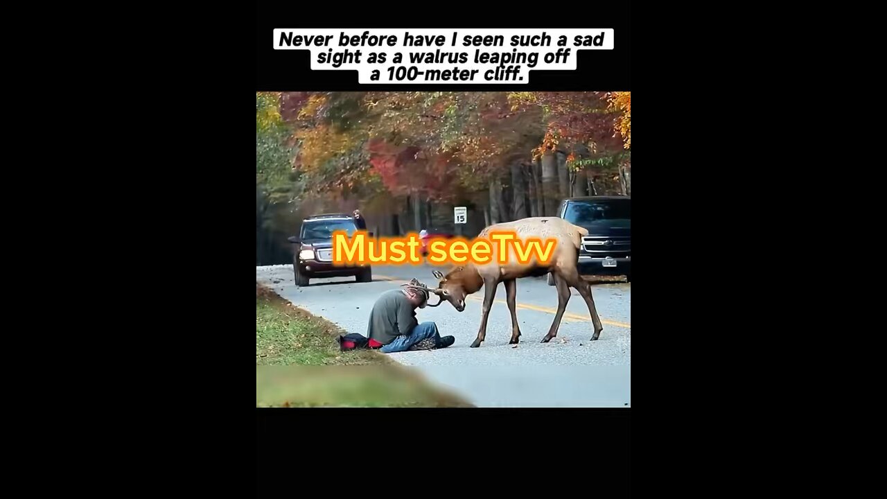 Full video click linkš„ā¼ļøMust seetvv