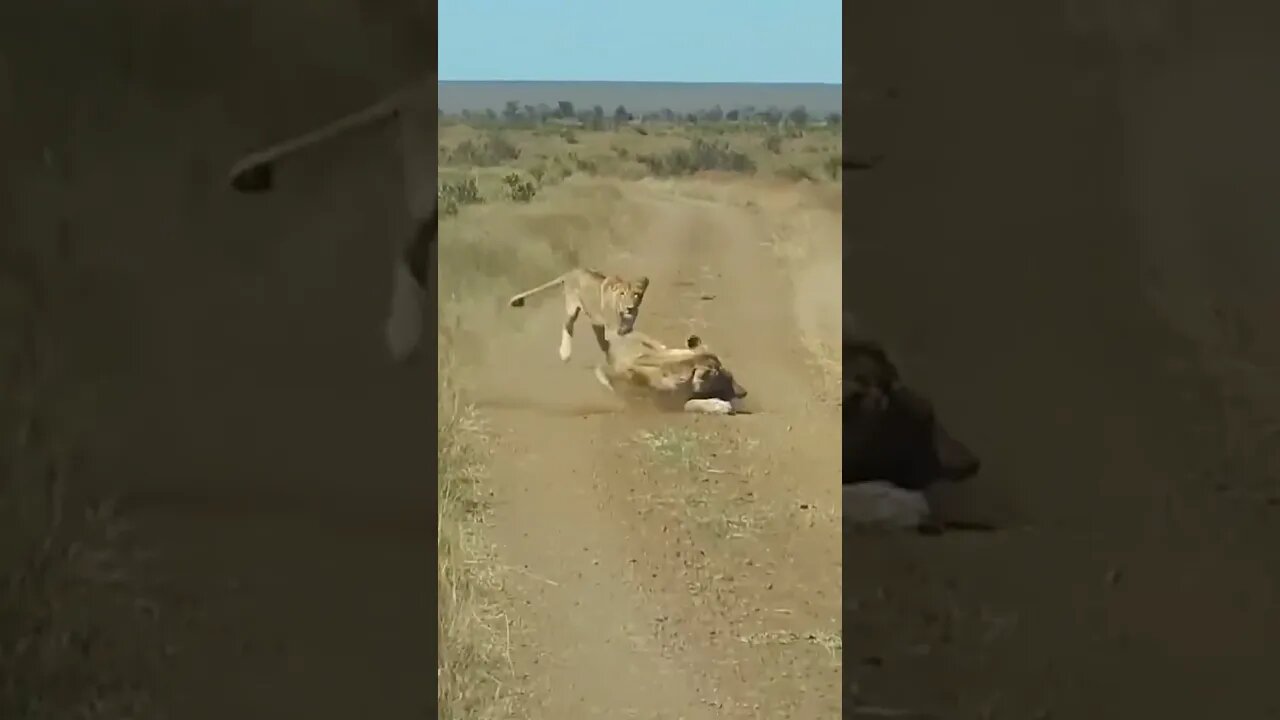 عاملين كمين