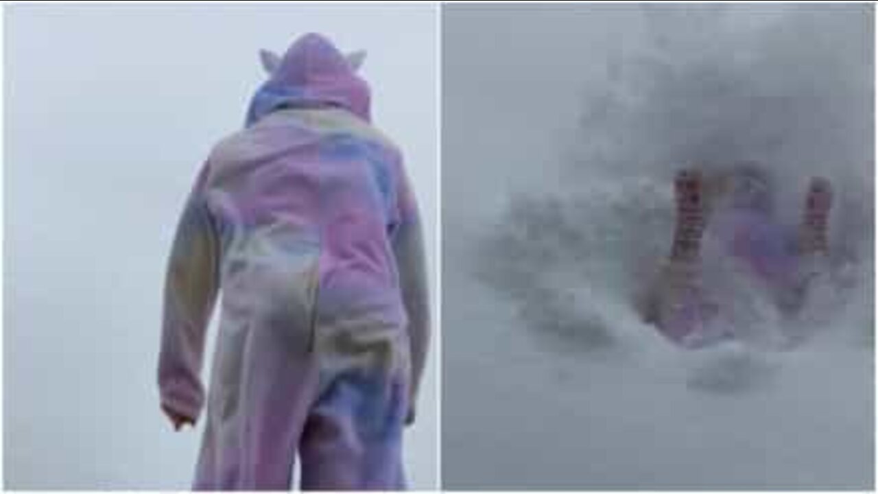 降りたての雪を楽しむ最高の方法